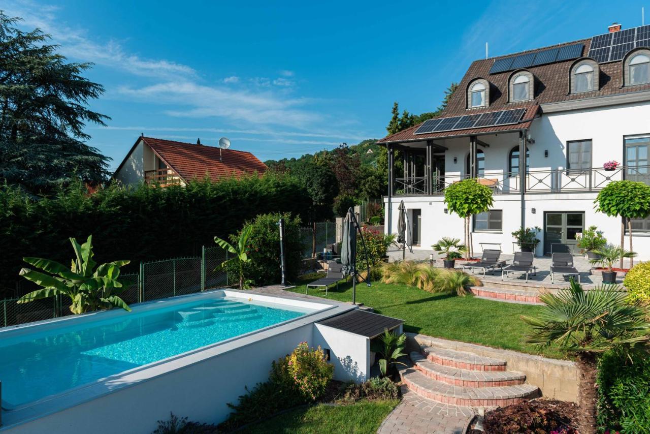 Katzer Villa Badacsonytördemic 外观 照片